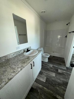 Bathroom, Dual Sink Vanities, Interior, Wood Texture Flooring