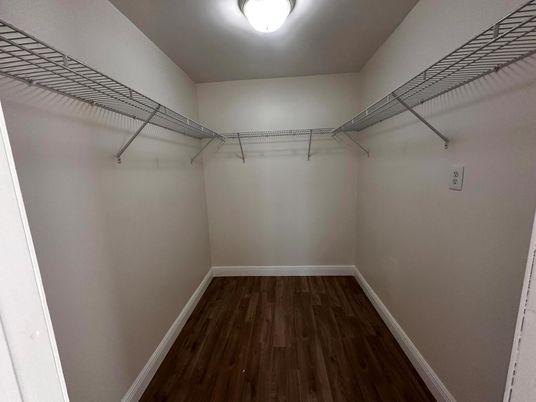 Interior, Walk-in Closets, Wood Texture Flooring