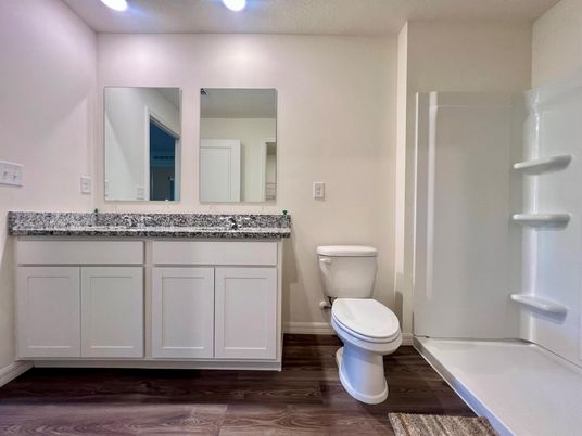 Bathroom, Interior, Recessed Lighting, Wood Texture Flooring
