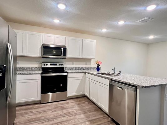Interior, Kitchen, Recessed Lighting, Stainless Steel Appliances, Wood Texture Flooring