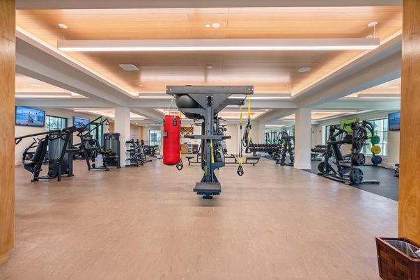 Fitness Equipment, Gym, Interior, Recessed Lighting, Wood Texture Flooring