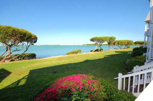 Backyard, Exterior, Lake, Water