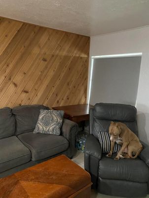 Interior, Living room, Wooden Walls