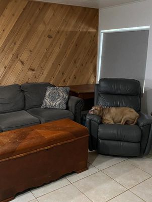 Interior, Living room, Wooden Walls