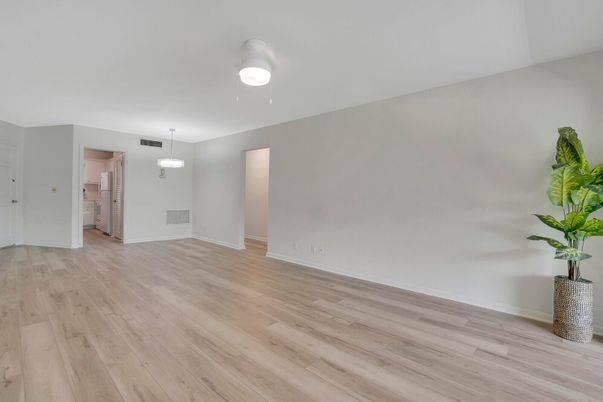Empty room, Interior, Pendant Lights, Wood Texture Flooring