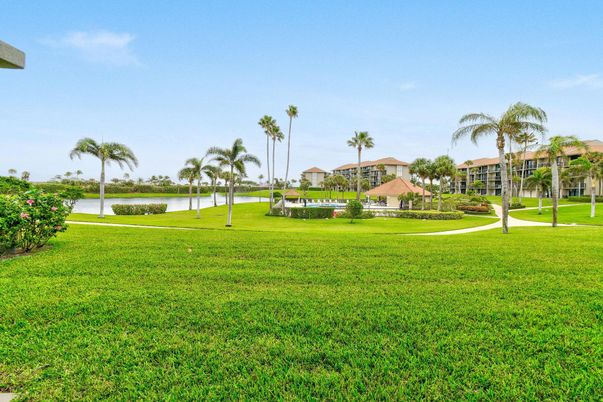 Backyard, Exterior, Water
