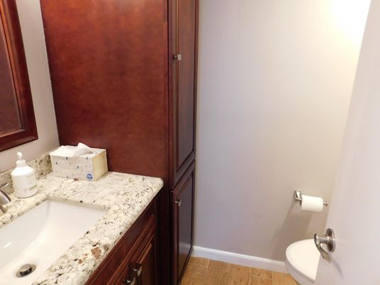 Bathroom, Interior, Wood Texture Flooring