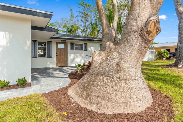 Backyard, Exterior, Facade, Ranch