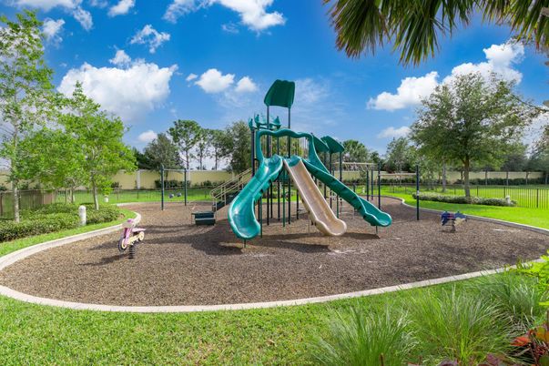Backyard, Exterior, Playground