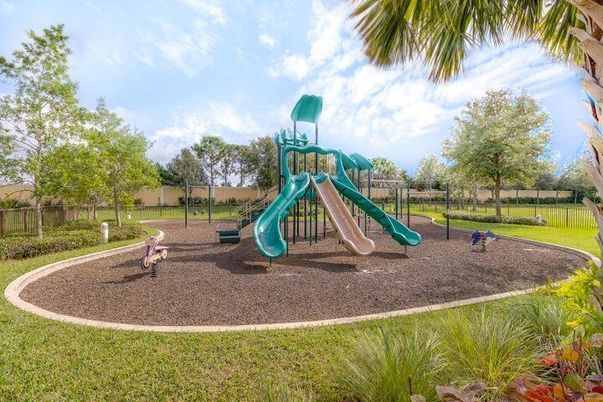 Backyard, Exterior, Playground