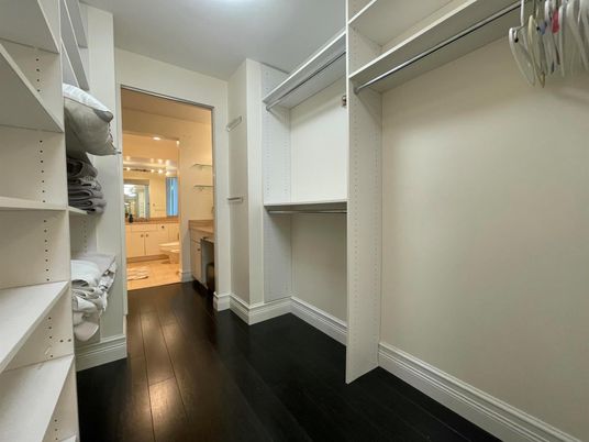 Interior, Recessed Lighting, Walk-in Closets, Wood Texture Flooring