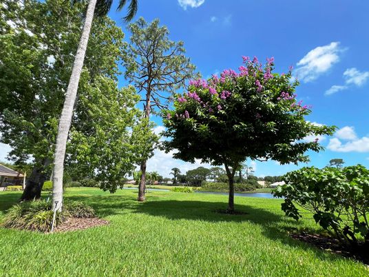 Backyard, Exterior, Water