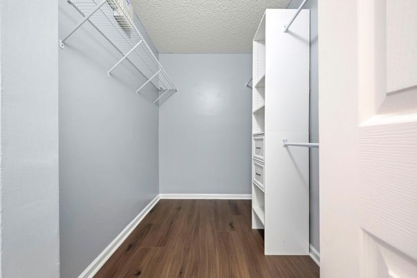 Interior, Walk-in Closets, Wood Texture Flooring