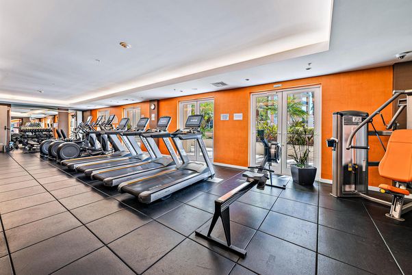 Fitness Equipment, Gym, Interior, Recessed Lighting