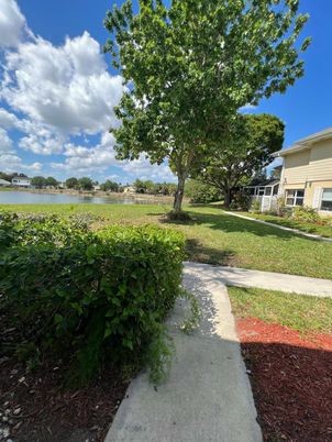 Backyard, Exterior, Water