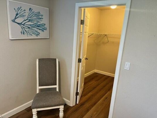 Interior, Recessed Lighting, Walk-in Closets, Wood Texture Flooring
