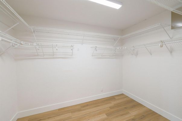 Interior, Recessed Lighting, Walk-in Closets, Wood Texture Flooring
