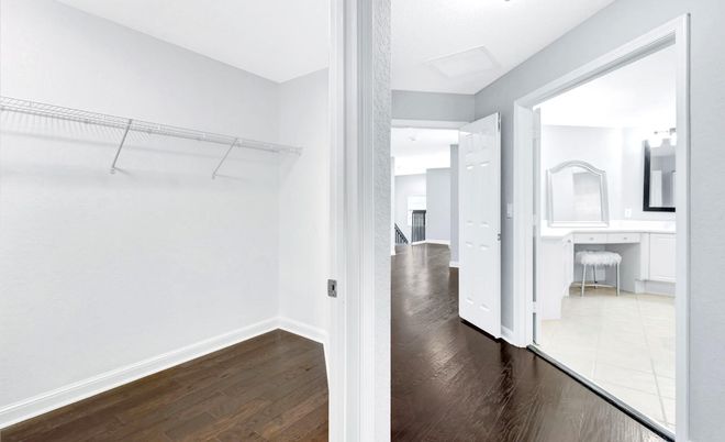Interior, Walk-in Closets, Wood Texture Flooring