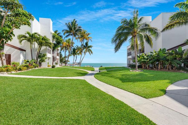 Backyard, Exterior, Water