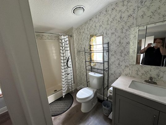 Bathroom, Interior, Wood Texture Flooring