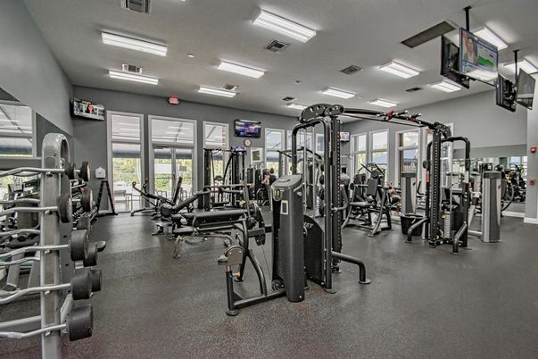 Fitness Equipment, Gym, Interior