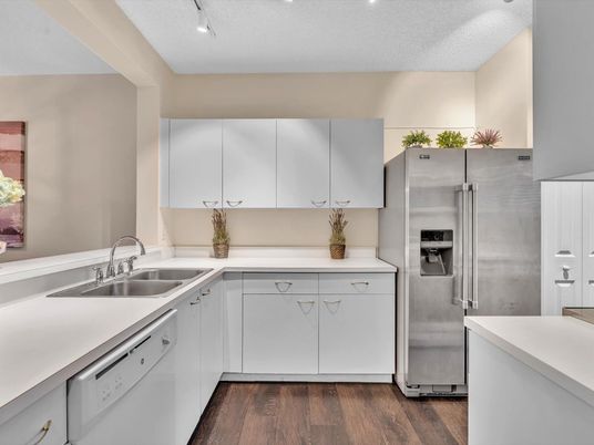 Interior, Kitchen, Stainless Steel Appliances, Wood Texture Flooring