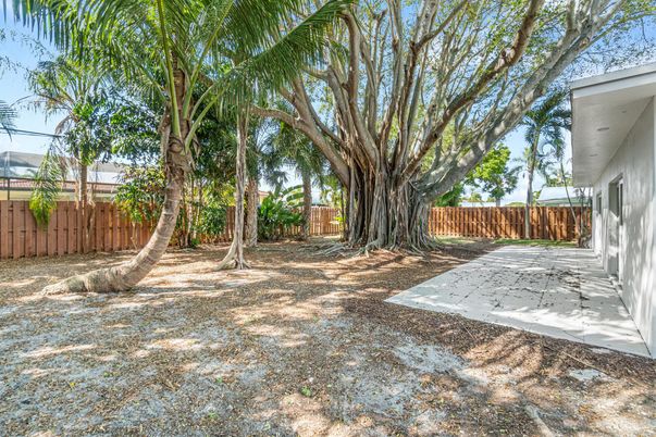 Backyard, Exterior