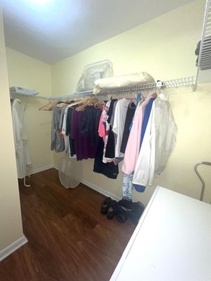 Interior, Walk-in Closets, Wood Texture Flooring