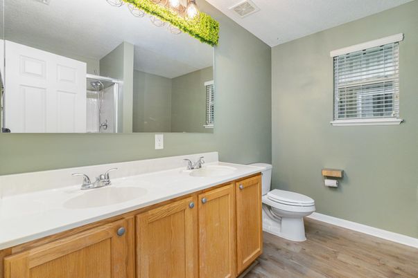 Bathroom, Dual Sink Vanities, Interior, Wood Texture Flooring