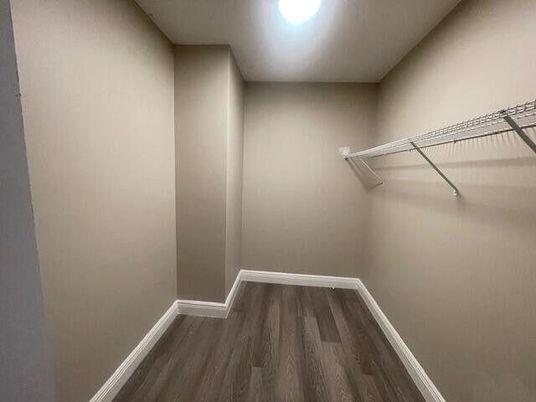 Interior, Walk-in Closets, Wood Texture Flooring
