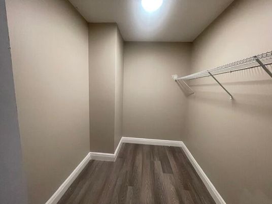 Interior, Walk-in Closets, Wood Texture Flooring