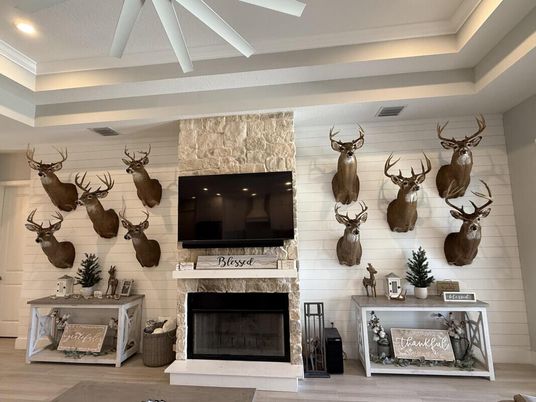 Fireplace, Interior, Recessed Lighting, Stone Walls, Wood Texture Flooring