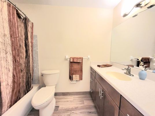 Bathroom, Interior, Wood Texture Flooring