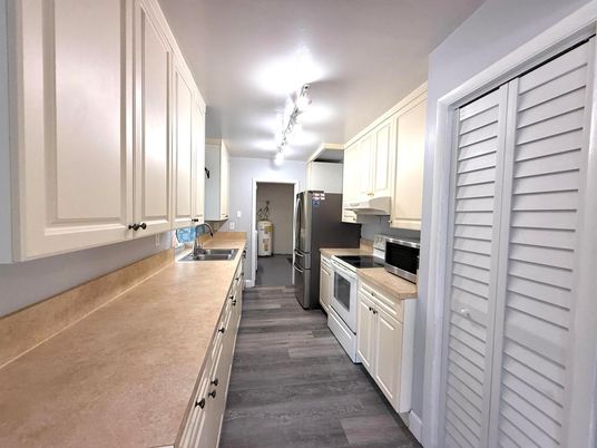 Interior, Kitchen, Stainless Steel Appliances, Wood Texture Flooring