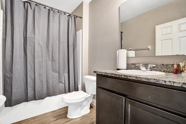 Bathroom, Interior, Wood Texture Flooring