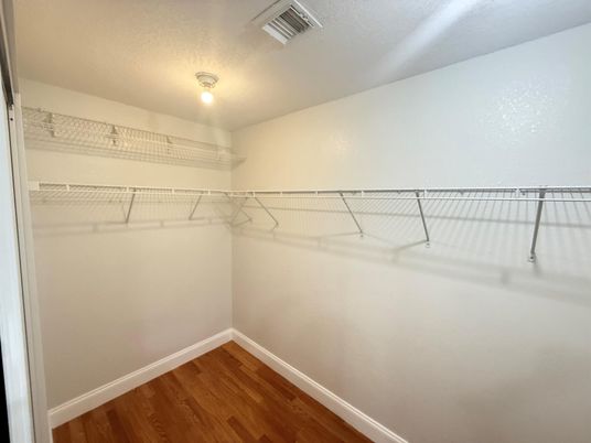 Interior, Walk-in Closets, Wood Texture Flooring