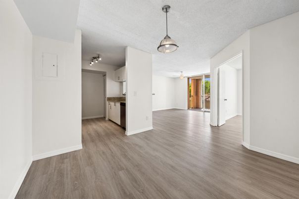 Empty room, Interior, Kitchen, Pendant Lights, Wood Texture Flooring