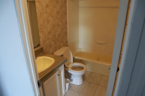 Bathroom, Interior, Wooden Walls