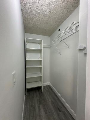 Interior, Walk-in Closets, Wood Texture Flooring