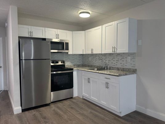 Interior, Kitchen, Stainless Steel Appliances, Wood Texture Flooring