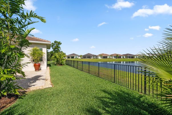 Backyard, Exterior, Water