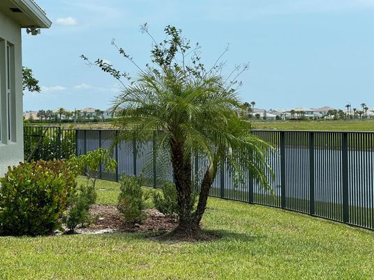 Backyard, Exterior, Water