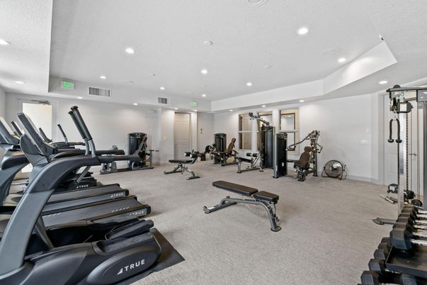 Fitness Equipment, Gym, Interior, Recessed Lighting
