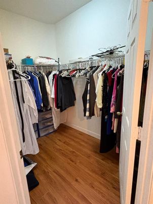 Interior, Walk-in Closets, Wood Texture Flooring