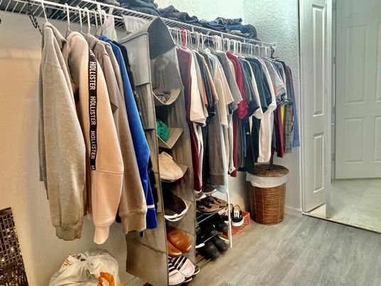 Interior, Walk-in Closets, Wood Texture Flooring