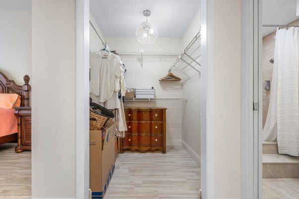 Interior, Walk-in Closets, Wood Texture Flooring