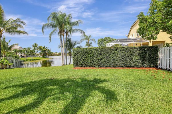 Backyard, Exterior, Water