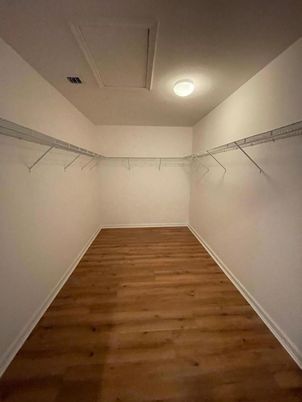 Interior, Walk-in Closets, Wood Texture Flooring