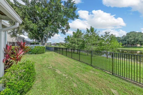 Backyard, Exterior, Water