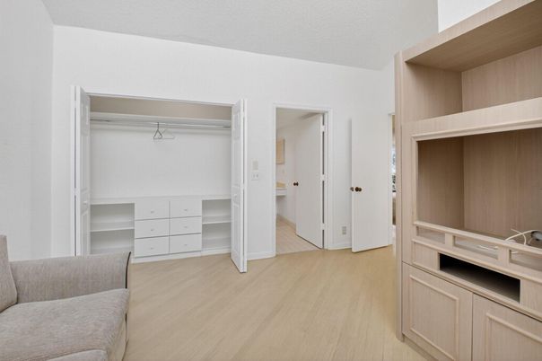 Interior, Walk-in Closets, Wood Texture Flooring